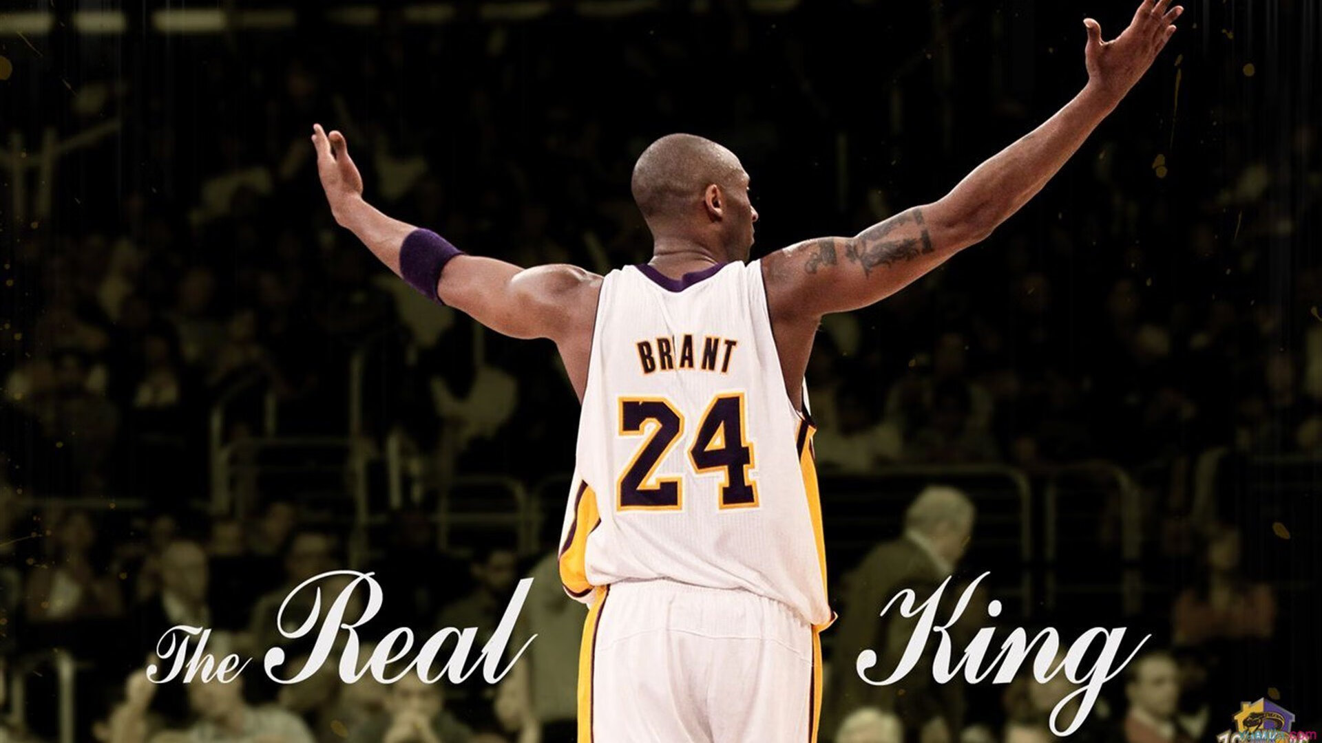 今年联盟助攻榜：谁的传球最“精彩绝伦”？，nba2020助攻榜